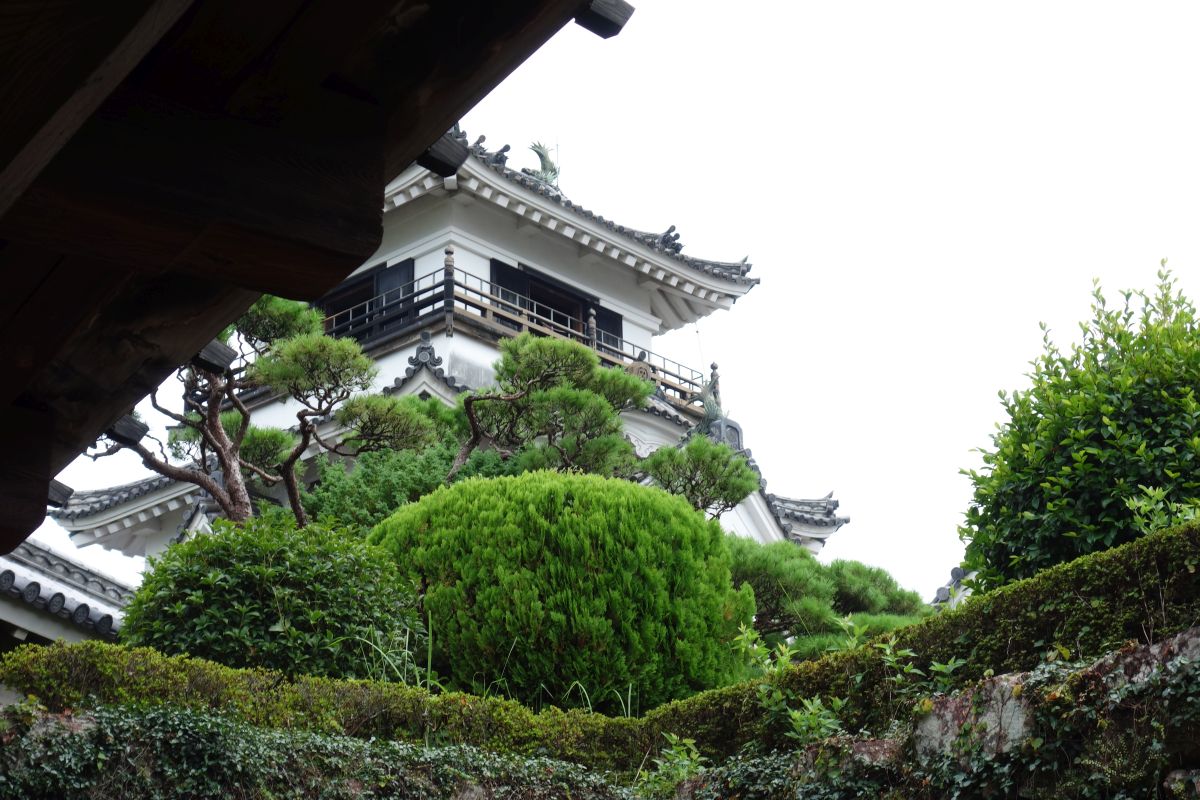 Burg Kōchi #3
